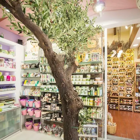 Mmebassia 住宿加早餐酒店 干尼亞